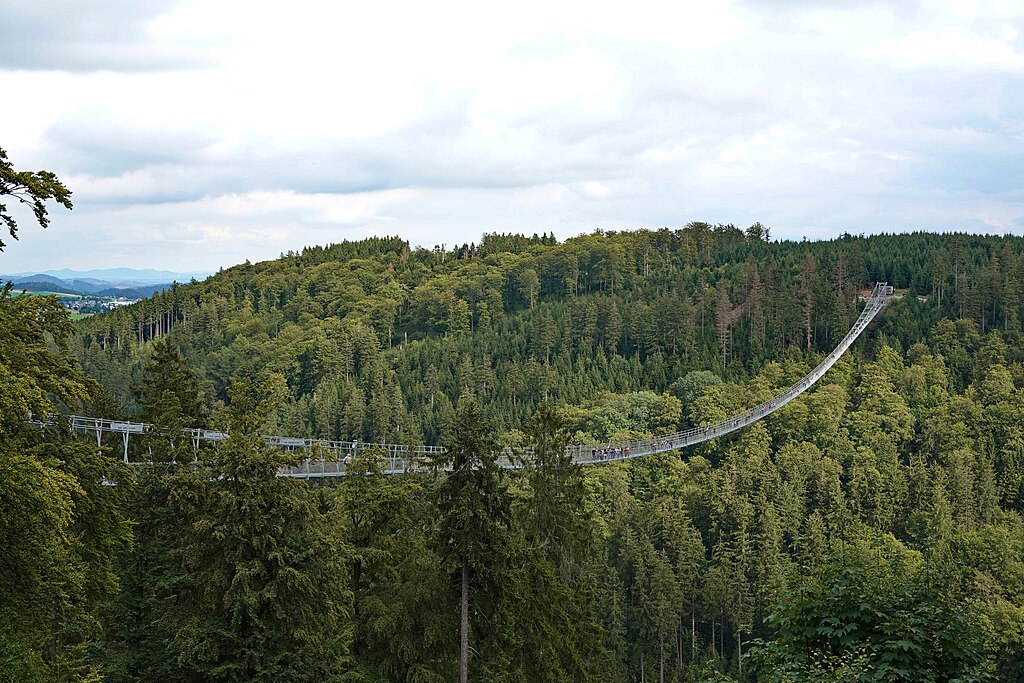 Der Sky­walk in Wil­lin­gen: Ein Spek­ta­ku­lä­res Aus­flugs­ziel