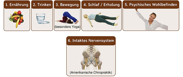 Die 6 Säu­len des Wohl­be­fin­dens: Ein Leit­fa­den für ganz­heit­li­che Gesund­heit