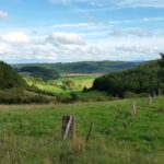 willingen, germany, nature