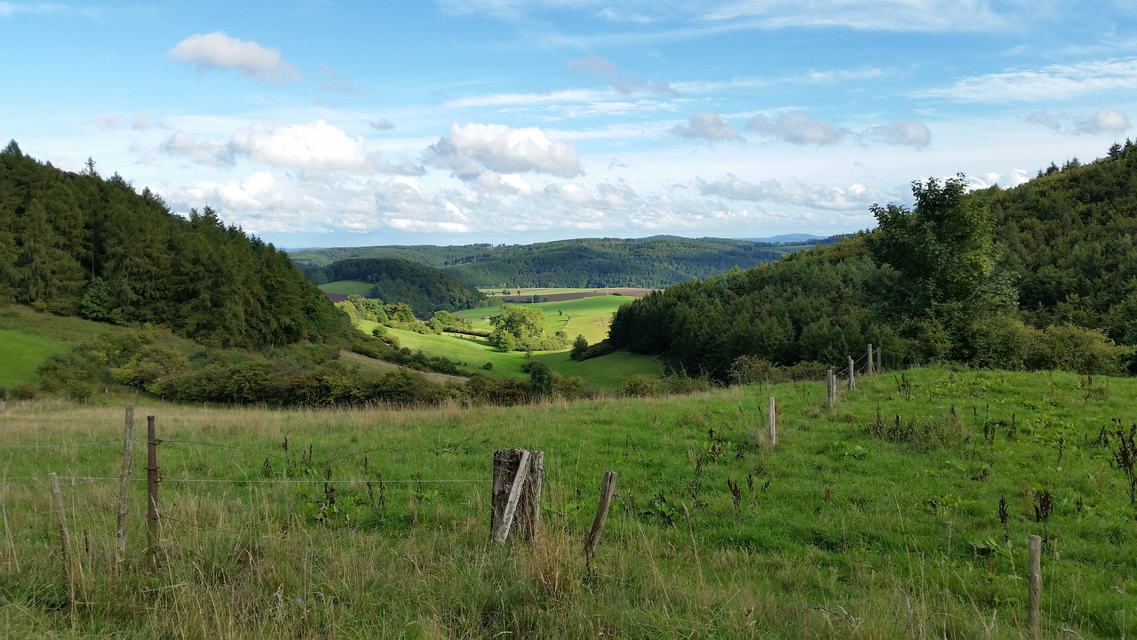 willingen, germany, nature