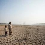 Ein weites, trockenes Flussbett in einer laendlichen Region, rissiger Boden,