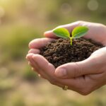 Bochum entdecken: Highlights und Tipps zum Nachhaltigkeitsjahr 2026 sustainable-growth-and-environmental-protection